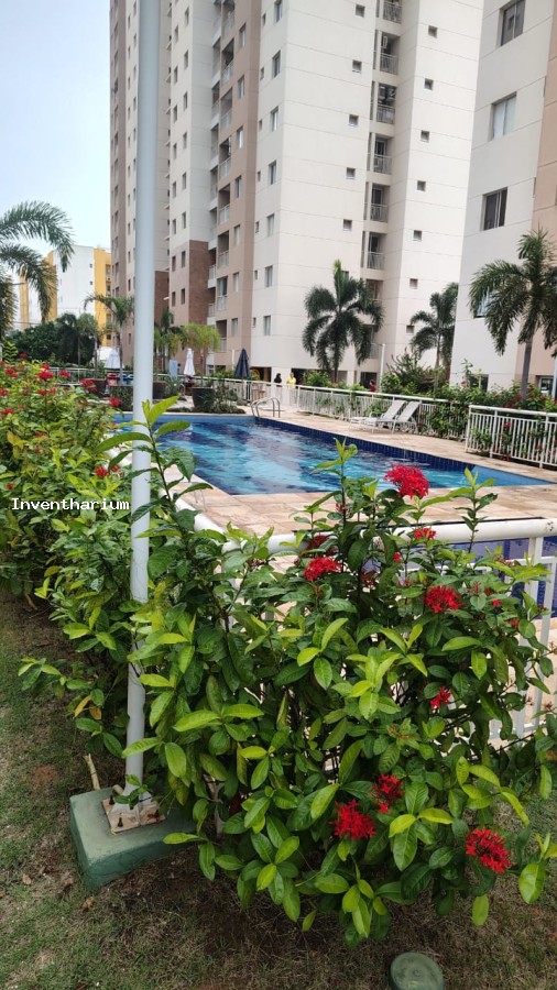 Apartamento, 3 quartos, 74 m² - Foto 7